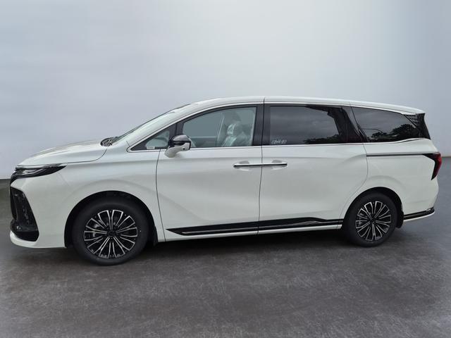 DFM / DFM Forthing 9 / Schwarz / / / 