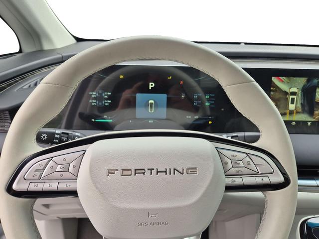 DFM / DFM Forthing 9 / Schwarz / / / 