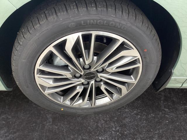 DFM / DFM Forthing 4 / Hellgrün / / / 