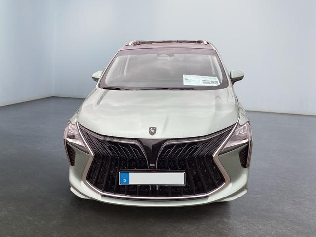 DFM / DFM Forthing 4 / Hellgrün / / / 