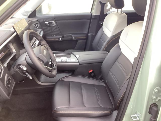 Baic / BJ30 / Grün / / / 