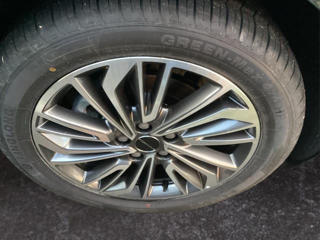 DFM / DFM Forthing 4 / Gr&uuml;n / / / 