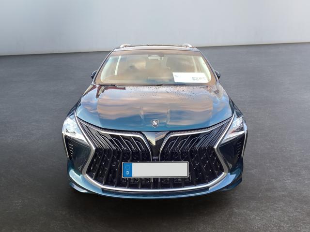 DFM / DFM Forthing 4 / Gr&uuml;n / / / 