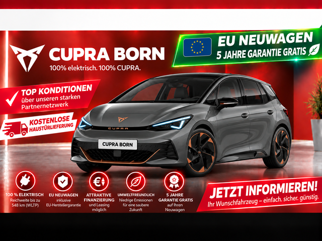 Cupra Born - Basis