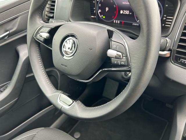 Skoda / Karoq / Blau / / / 1.5 TSI DSG / Rückfahrkamera