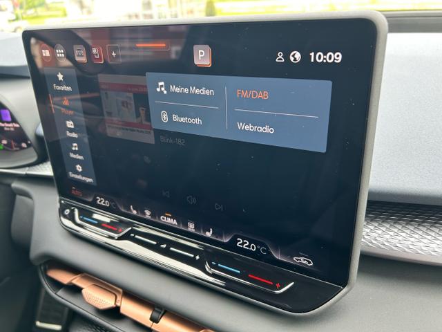 CUPRA / Terramar / Blau / / / 1.5 TSI DSG / Edge Paket AHK
