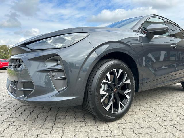 CUPRA / Terramar / Grau / / / 2.0 TSI DSG 4Drive / Standheizung AHK