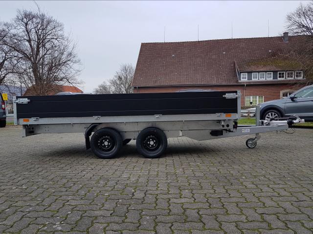 Saris / Kipper / / / / 