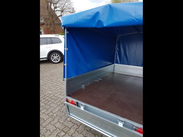 Saris / King / / / / 