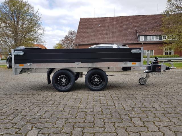 Saris / Kipper / / / / 