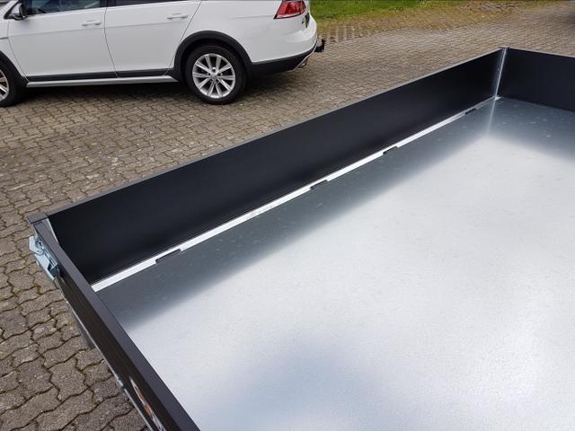 Saris / Kipper / / / / 