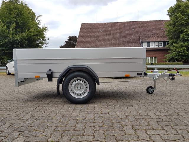 Saris / McAlu / / / / 