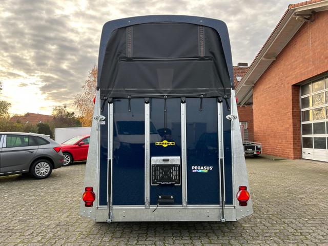 Humbaur / Pferdeanhänger / / / / Pegasus Style 2700 S 2,7t 100km/h
