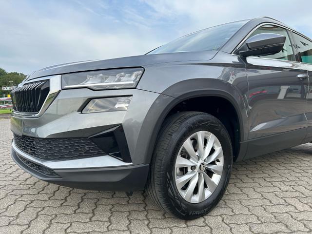 Skoda / Karoq / Blau / / / 1.5 TSI DSG / Abstandstempomat