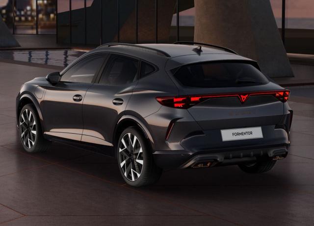 Cupra Formentor VZ 2.0 TSI 333 Memory Nav ehK SHZ Blis 