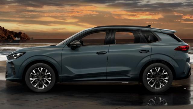 Cupra Terramar 1.5 eTSI 150 DSG LED VirCo SHZ Kam PDC 