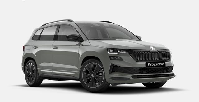 Skoda Karoq - Top Selection 2.0 TDI 7-Gang-DSG