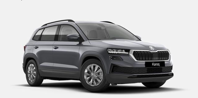 Skoda Karoq - Selection 2.0 TDI 6-Gang