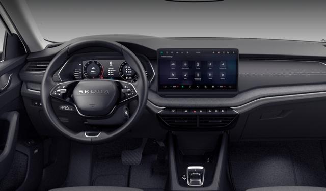 Skoda Octavia Combi TDI DSG Selec Pano Matrix Leder 