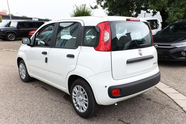Fiat Panda MHEV 70 5"-DAB 5-Sitz PDC DigCo LaneA Temp 