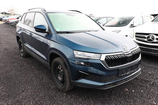 Skoda Karoq Tour 2.0 TDI 116 LED AHK Kam PDC ACC 17Z 