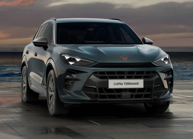 Cupra Terramar DSG IntelliD Dinamica Edge 360&deg; eHk ACC 