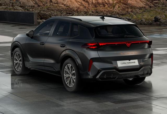 Cupra Terramar DSG IntelliD Dinamica Edge 360&deg; eHk ACC 