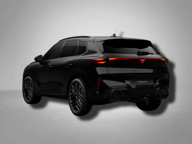 Cupra Terramar VZ Tribe Edition 2.0 TSI 7-Gang-DSG 4Drive 