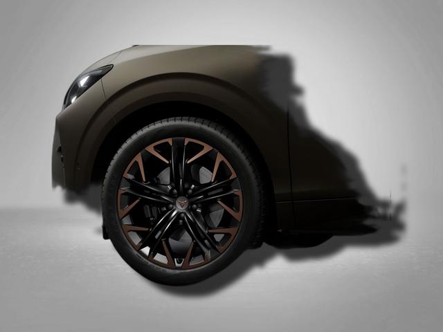 Cupra Terramar VZ 2.0 TSI 7-Gang-DSG 4Drive 