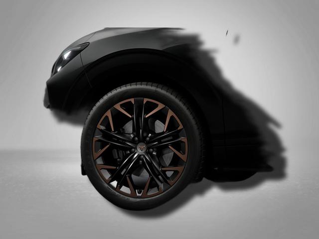 Cupra Terramar VZ 2.0 TSI 7-Gang-DSG 4Drive 