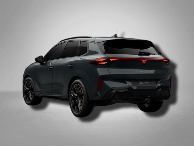 Cupra Terramar VZ 2.0 TSI 7-Gang-DSG 4Drive 
