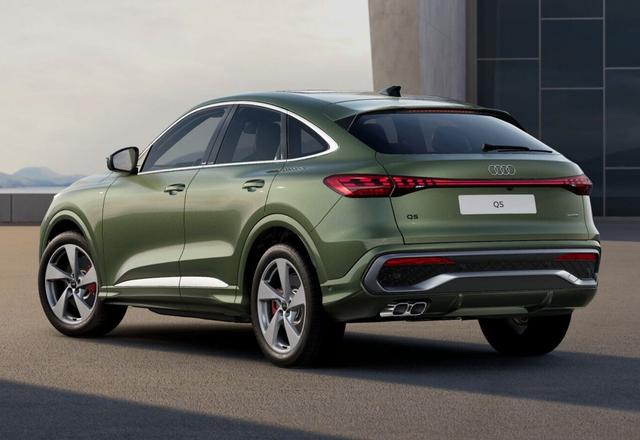 Audi Q5 Sportback S line 2xS Tech Leder Pano 20Z PrivG 