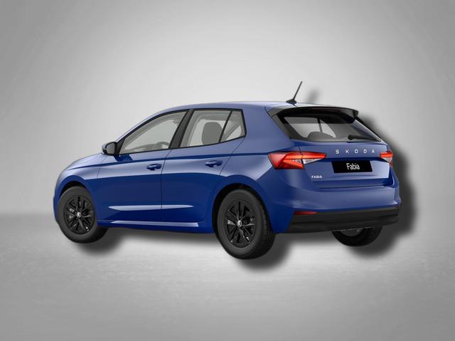 Skoda Fabia Selection 1.0 TSI 7-Gang-DSG 