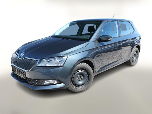 Skoda Fabia - AMBITION 1.0 TSI 110 DSG Nav PDC SHZ