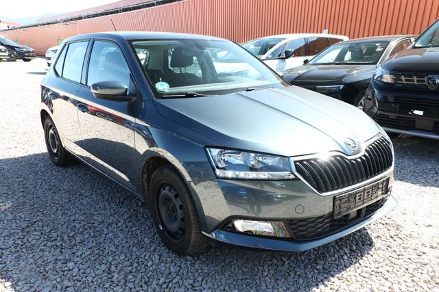 Skoda Fabia AMBITION 1.0 TSI 110 DSG Nav PDC SHZ 