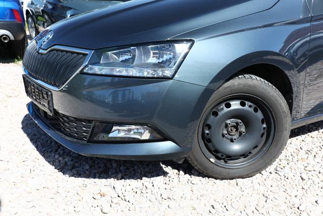 Skoda Fabia AMBITION 1.0 TSI 110 DSG Nav PDC SHZ 