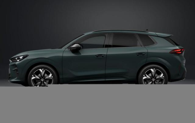 Cupra Terramar DSG EdgeP SHZ eHk Kam ACC 19" PrivG Amb 