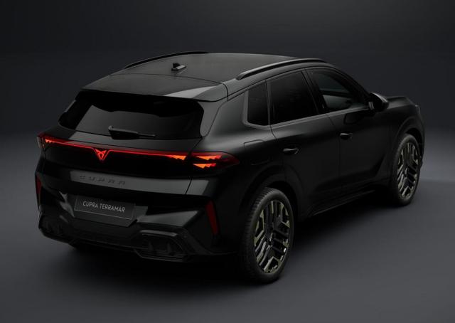 Cupra Terramar Tribe Edition DSG HeadUp 360&deg; Sennh el.Hk ParkA 