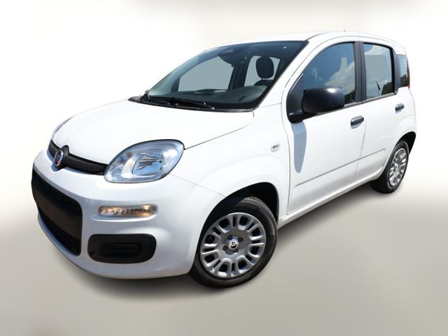 Fiat Panda - ICON 5S PDC 5"-DAB DigC Temp LaneA S&S BT