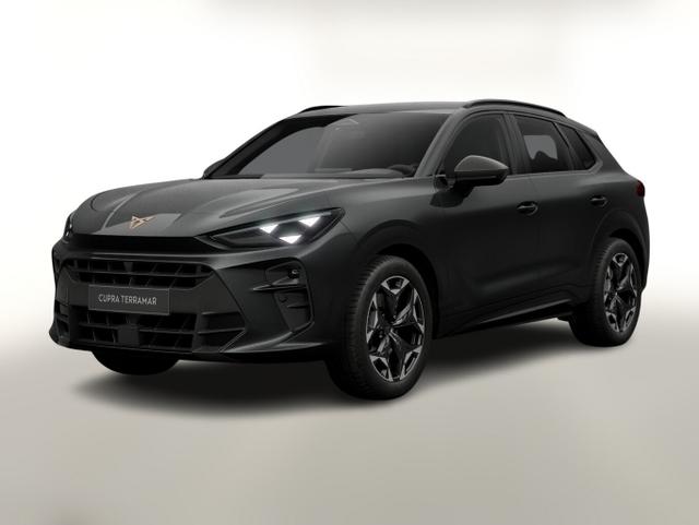 Cupra Terramar - VZ 4D AHK eHk Kam SHZ ACC 3ZClim 19"LM