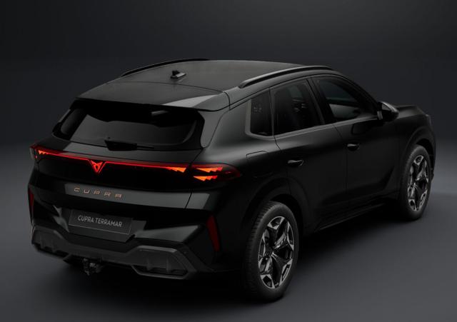 Cupra Terramar VZ 4D Pano AHK eHk Kam SHZ ACC 3ZClim 