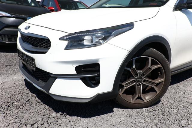 Kia XCeed Platinum 1.6 T-GDI 204 DCT Pano LED Nav 