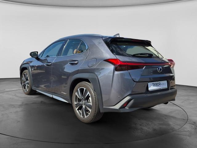 Lexus UX Luxury Line 250h Matrix LED Pano Memory Kam 