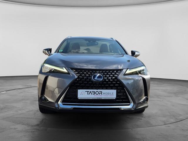 Lexus UX Luxury Line 250h Matrix LED Pano Memory Kam 