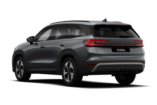 Skoda Kodiaq Selection Selec AHK Matrix Nav Kessy ACC SunS SHZ 