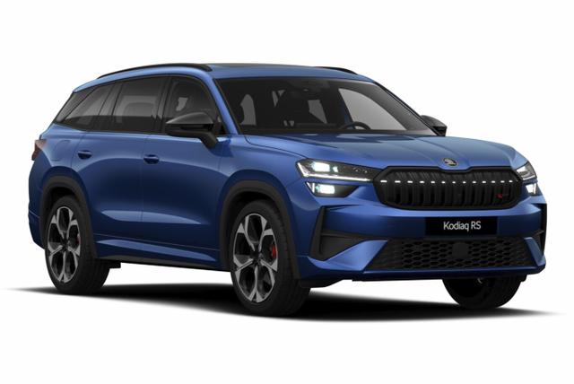 Skoda Kodiaq RS Pano AHK Matrix DCC SHZhi Canton ACC 