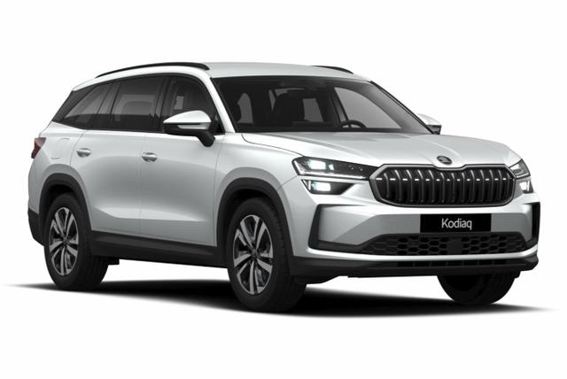 Skoda Kodiaq Selection Selec Leder AHK Matrix Nav Kessy ACC SunS 