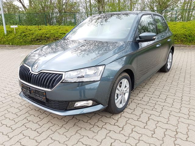 Skoda Fabia - Ambition ALU/SHZ/KAMERA/DAB