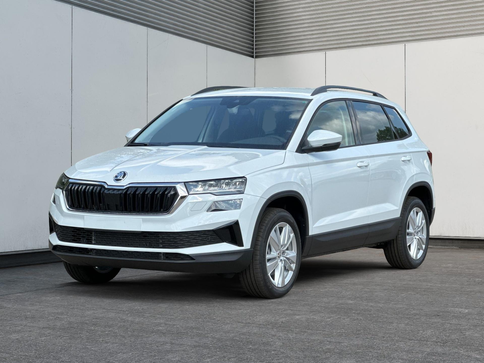 Skoda / Karoq /  /  /  / 