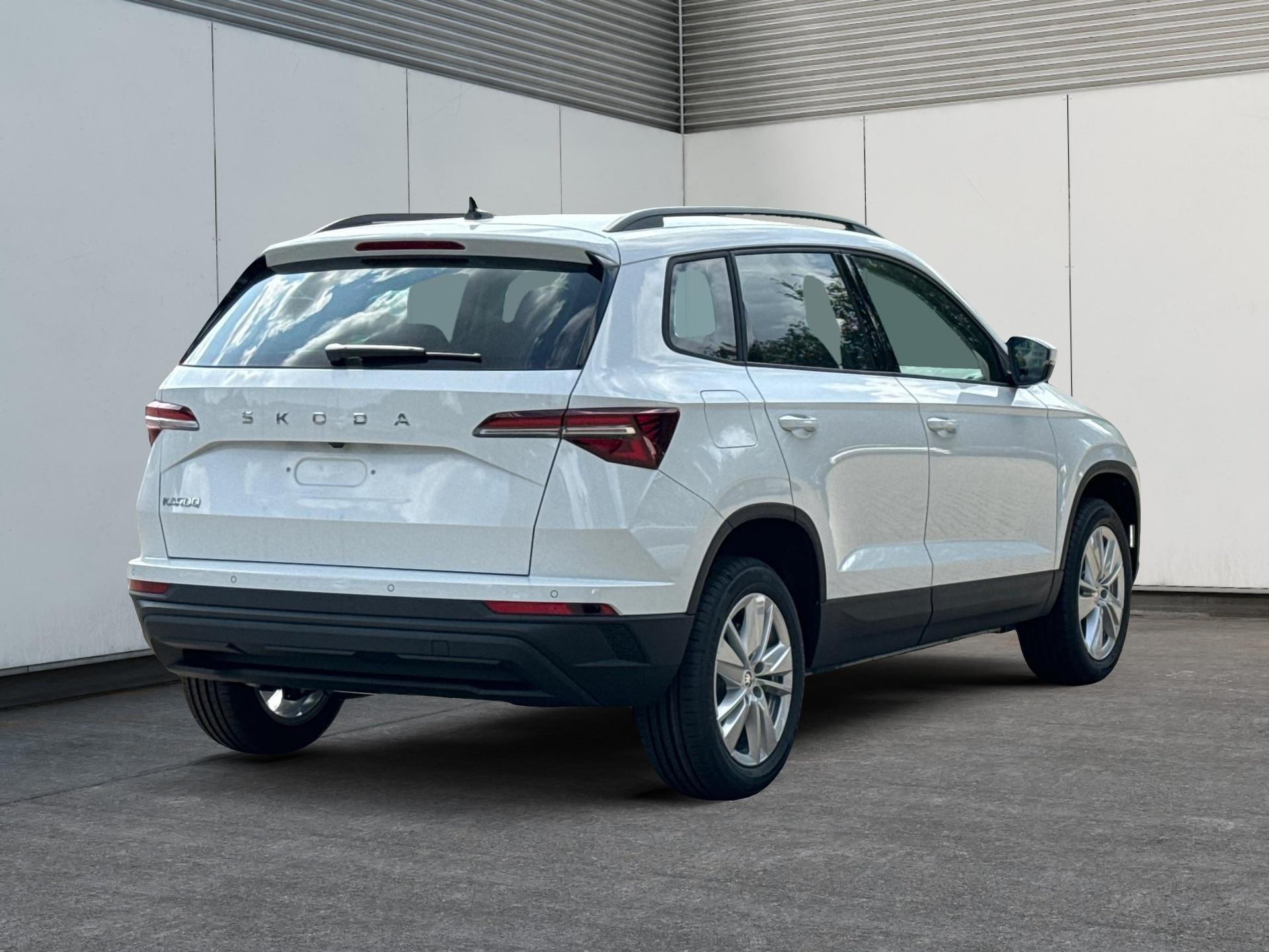 Skoda / Karoq /  /  /  / 